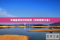 中国最漂亮印花视频（印花视频大全）