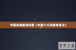 中国未婚最帅总裁（中国十大总裁单身汉）