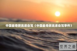 中国最奇葩高速自驾（中国最奇葩高速自驾事件）