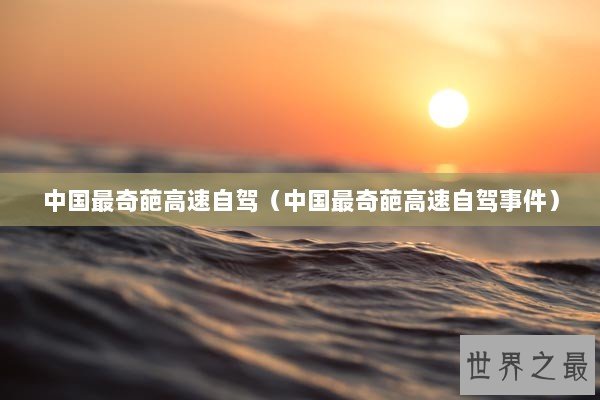 中国最奇葩高速自驾（中国最奇葩高速自驾事件）