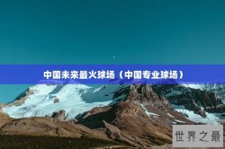 中国未来最火球场（中国专业球场）