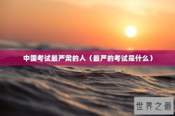 中国考试最严肃的人（最严的考试是什么）