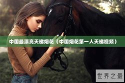 中国最漂亮天梯烟花（中国烟花第一人天梯视频）