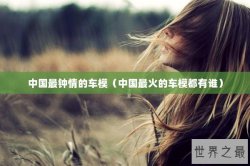中国最钟情的车模（中国最火的车模都有谁）