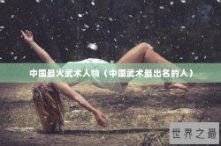 中国最火武术人物（中国武术最出名的人）