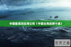 中国最成功出海公司（中国出海品牌十强）