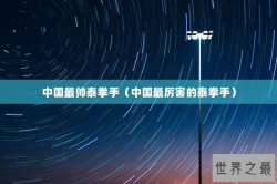 中国最帅泰拳手（中国最厉害的泰拳手）