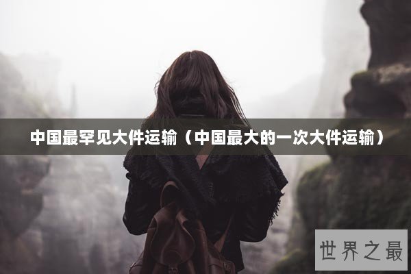 中国最罕见大件运输（中国最大的一次大件运输）