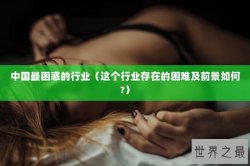 中国最困惑的行业（这个行业存在的困难及前景如何?）
