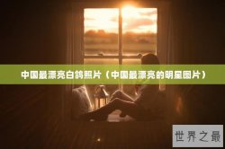 中国最漂亮白鸽照片（中国最漂亮的明星图片）