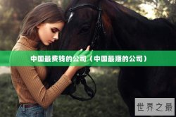 中国最费钱的公司（中国最赚的公司）