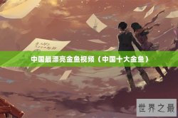 中国最漂亮金鱼视频（中国十大金鱼）