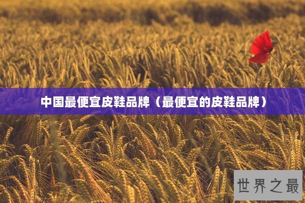 中国最便宜皮鞋品牌(最便宜的皮鞋品牌) 中国最便宜皮鞋品牌(最便宜的皮鞋品牌)