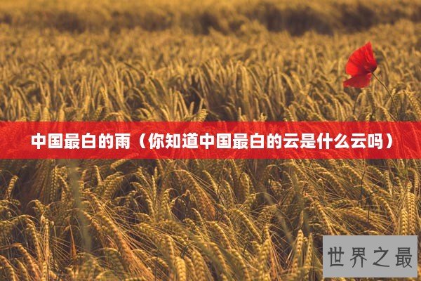 中国最白的雨(你知道中国最白的云是什么云吗) 中国最白的雨(你知道中国最白的云是什么云吗)
