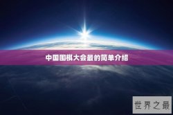 中国围棋大会最的简单介绍