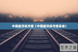 中国最顶级月嫂（中国最顶级月嫂是谁）