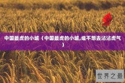 中国最虎的小城（中国最虎的小城,谁不想去沾沾虎气）