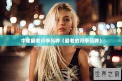 中国最老月季品种（最老的月季品种）