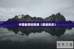 中国最艳丽藏餐（藏餐排名）