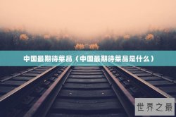 中国最期待菜品（中国最期待菜品是什么）