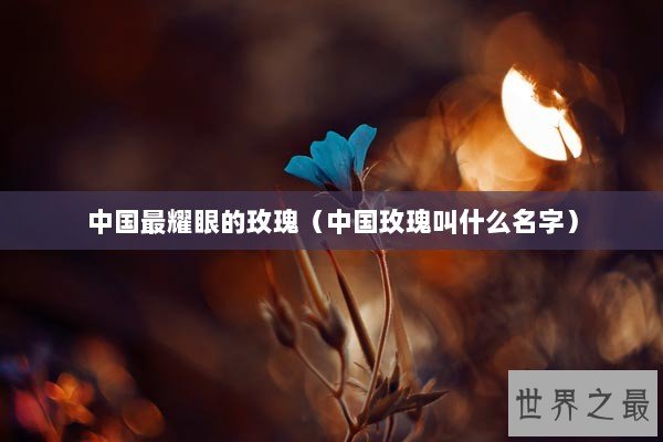 中国最耀眼的玫瑰（中国玫瑰叫什么名字）