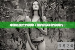 中国最便宜的钢炮（国内能买到的钢炮车）