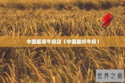 中国最厚牛排店（中国最好牛排）