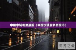 中国水域哪里最脏（中国水域最多的城市）