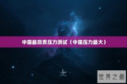 中国最昂贵压力测试（中国压力最大）