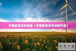 中国最真实的油画（中国最真实的油画作品）