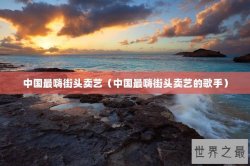 中国最嗨街头卖艺（中国最嗨街头卖艺的歌手）