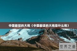 中国最猛的大炮（中国最猛的大炮是什么炮）