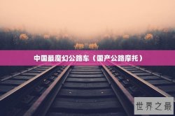 中国最魔幻公路车（国产公路摩托）