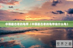 中国最古老的龟甲（中国最古老的龟甲是什么龟）