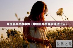 中国最牛黑客事件（中国最牛黑客事件是什么）