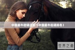 中国最牛街道企业（中国最牛街道排名）