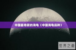 中国最奇葩的海龟（中国海龟品种）