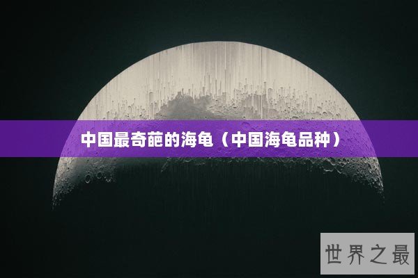 中国最奇葩的海龟（中国海龟品种）