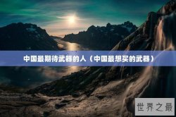 中国最期待武器的人（中国最想买的武器）