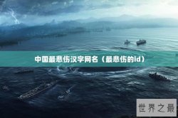 中国最悲伤汉字网名（最悲伤的id）