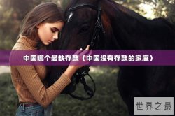 中国哪个最缺存款（中国没有存款的家庭）