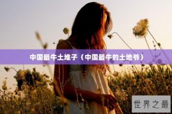 中国最牛土堆子（中国最牛的土地爷）