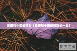 美国和中国最精彩（美国和中国最精彩的一战）