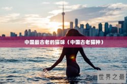 中国最古老的猫咪（中国古老猫种）