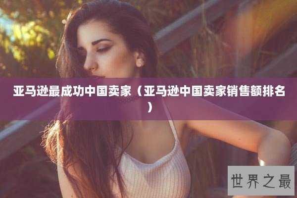 亚马逊最成功中国卖家（亚马逊中国卖家销售额排名）