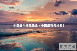 中国最牛烟花晚会（中国烟花秀排名）