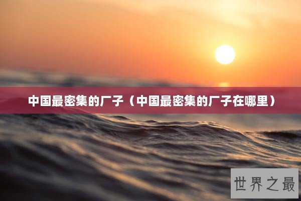 中国最密集的厂子（中国最密集的厂子在哪里）