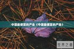 中国最便宜的产业（中国最便宜的产品）