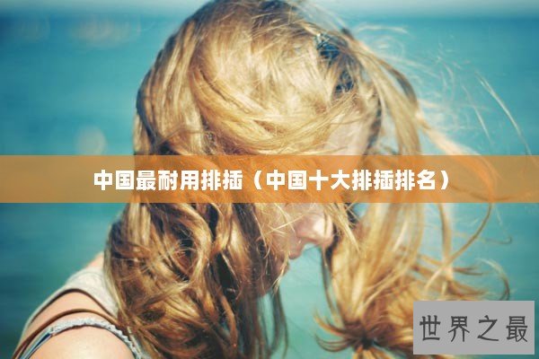 中国最耐用排插（中国十大排插排名）