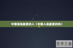 中国谁是最累的人（中国人是最累的吗）